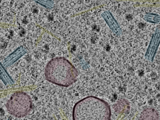 key visualization for sample_106