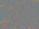 key visualization for sample_106