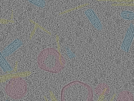 key visualization for sample_106