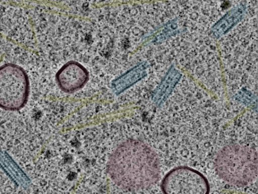 key visualization for sample_107