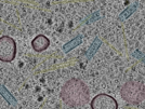 key visualization for sample_107