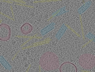 key visualization for sample_107