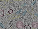 key visualization for sample_107