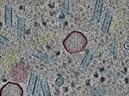 key visualization for sample_108