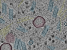 key visualization for sample_108