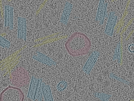 key visualization for sample_108