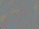 key visualization for sample_108
