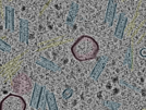 key visualization for sample_108