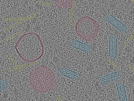key visualization for sample_109