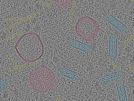 key visualization for sample_109