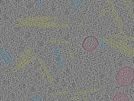 key visualization for sample_11