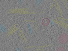 key visualization for sample_11