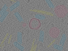 key visualization for sample_110