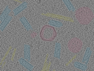 key visualization for sample_110