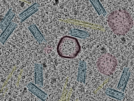 key visualization for sample_110