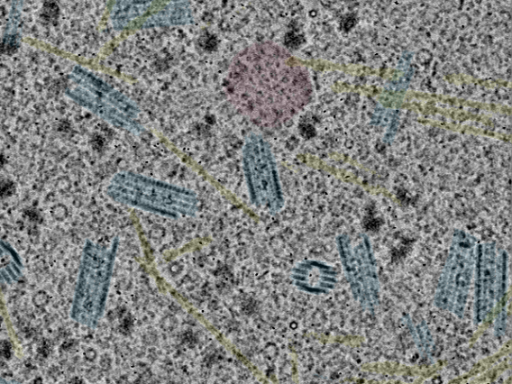 key visualization for sample_111