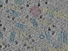 key visualization for sample_111