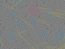 key visualization for sample_111
