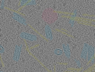 key visualization for sample_111