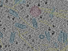 key visualization for sample_111