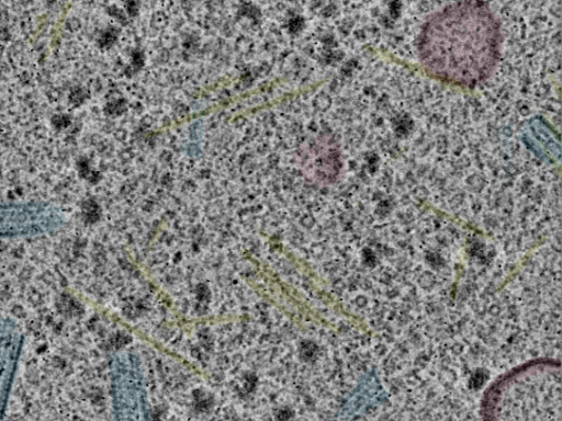 key visualization for sample_112