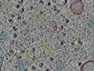 key visualization for sample_112