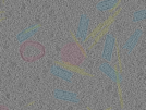 key visualization for sample_113