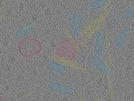 key visualization for sample_113