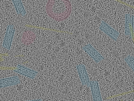 key visualization for sample_114