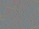 key visualization for sample_114