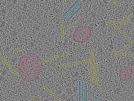key visualization for sample_115