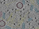 key visualization for sample_116