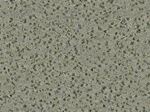 key visualization for sample_355
