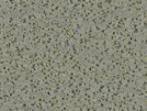 key visualization for sample_355
