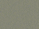 key visualization for sample_360