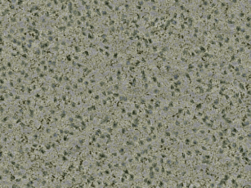 key visualization for sample_361