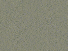key visualization for sample_361