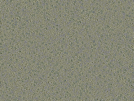 key visualization for sample_361