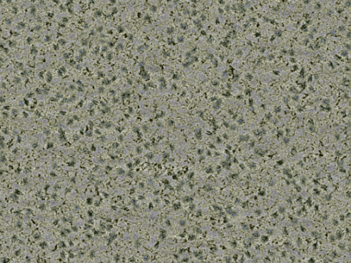 key visualization for sample_364