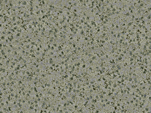 key visualization for sample_367