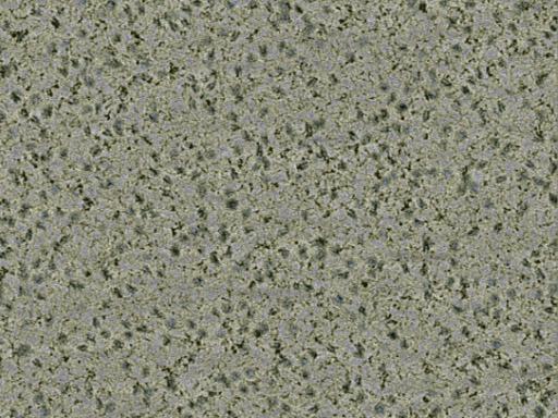 key visualization for sample_369