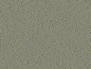 key visualization for sample_369