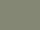key visualization for sample_369