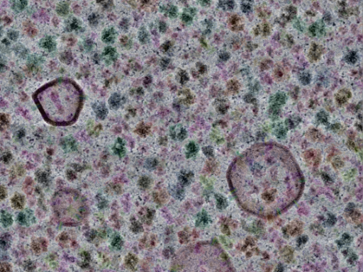 key visualization for CryoETSim minimal-bacterium subset - simulated cryo-electron tomograms of bacterial transcription/translation