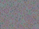 key visualization for sample_301