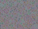 key visualization for sample_301