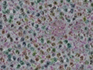 key visualization for sample_302