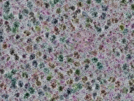 key visualization for sample_302