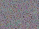 key visualization for sample_303