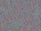 key visualization for sample_303